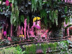 -正佳雨林生态植物园