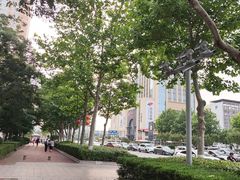 -青岛市图书馆