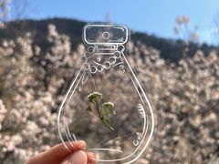 -崂山九水游览区