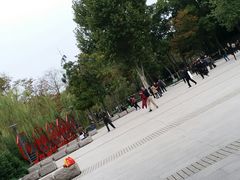 -泰州凤城河风景区-泰山公园