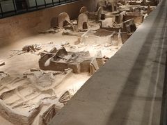 -洛阳周王城天子驾六博物馆