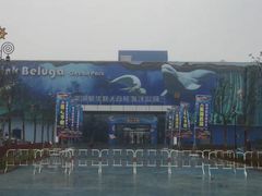 -芜湖新华联大白鲸海洋公园