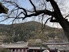 -华清宫景区