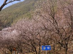 -四明山国家森林公园