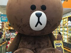 -line friends(明洞旗舰店)
