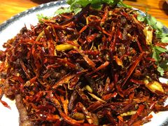 -小眼睛餐饮&杨杨夜宵