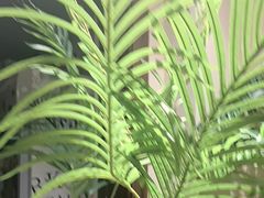 -梁溪河畔·吉府花园(南长街南下塘店)