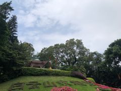 -广州市白云山风景名胜区