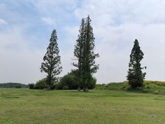 -良渚古城遗址公园
