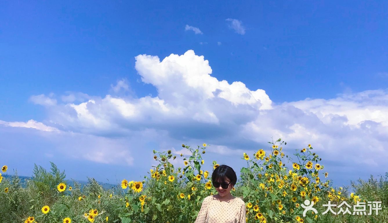 神仙颜值的地方，一定要来哦，太爱这片蔚蓝啦