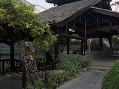 -活水公园