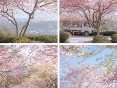 -云洞岩风景区