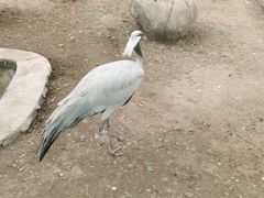 -齐齐哈尔龙沙动植物园