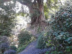 -乌山风景区