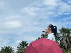 -瑶湖郊野森林公园