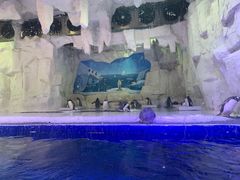 -华夏文旅海洋公园