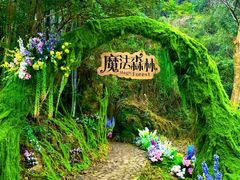 -龙湾潭国家森林公园