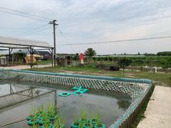 -美家乐农庄·露营·团建(大治路店)