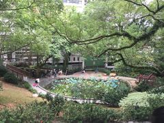 -香港大学