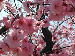 -白塘生态植物园