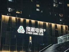 -绿树电竞(五路店)
