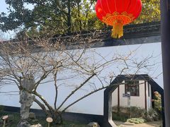 -上海醉白池公园