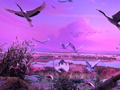 -中国湿地博物馆