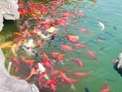 -中华石雕艺术园