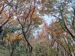 -国家植物园南园