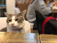 -小时光咖啡馆(北锣鼓巷店)