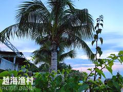 景观位-越海渔村