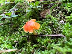 -南京市江宁方山