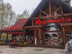 -合肥滨湖国家森林公园