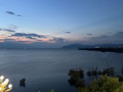 -野菌皇海景野生菌火锅(滨海大道店)
