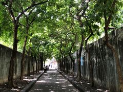 -妙香居韩国烤肉(容桂天佑城店)