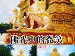 -西双版纳勐泐文化旅游区