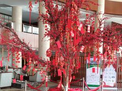 -银川国贸中心酒店