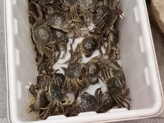 -水岸居湖景农家乐·阳澄湖大闸蟹