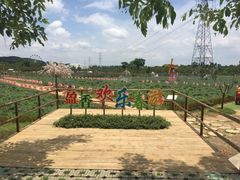 园区环境-盈香心动乐园