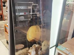 -代数学家algebraist(诚品店)