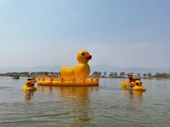 -野鸭湖国家湿地公园