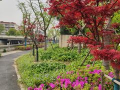 -巴黎贝甜(万源店)