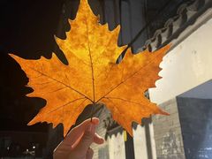 -刘艳明炒货(小心桥店)