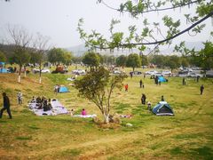-羊山湖公园