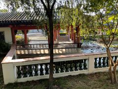 -广东花都湖国家湿地公园