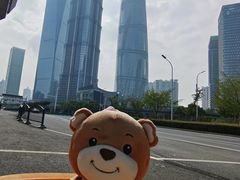 -陆家嘴中心绿地