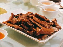 鹅掌亦-优之名鹅城