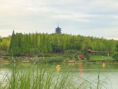 -宜兴龙背山森林公园