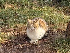 -狼山风景名胜区
