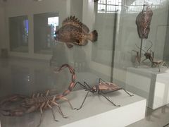 -武汉市民之家